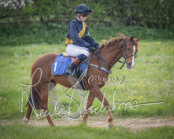 Pony Race 1 (10 of 61)-