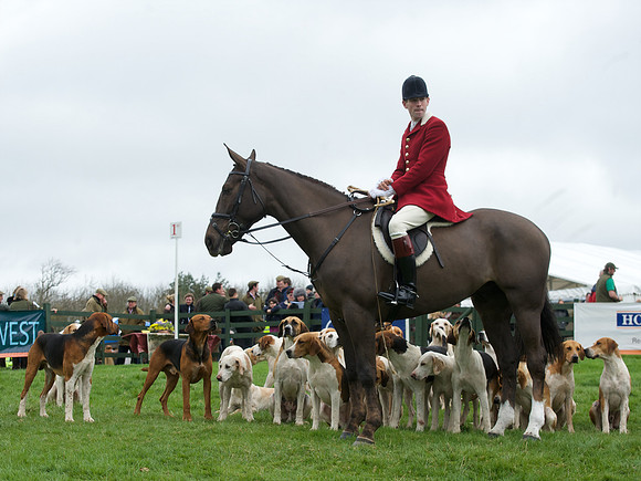 Pytchley - Hounds and friends 7