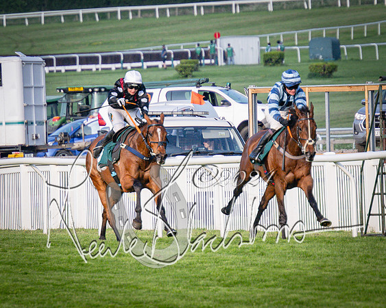 Race 4 - The Jonathan Neesom memorial open Hunter’s steeplechase 3m2f 70y (91 of 167)
