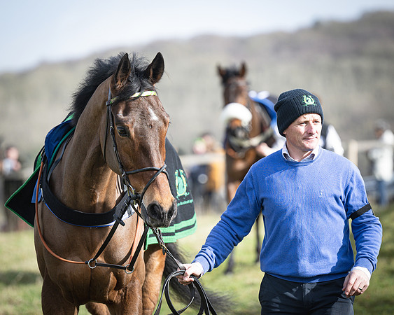 Race 1 - Four and Five year Old Maiden (8 of 137)