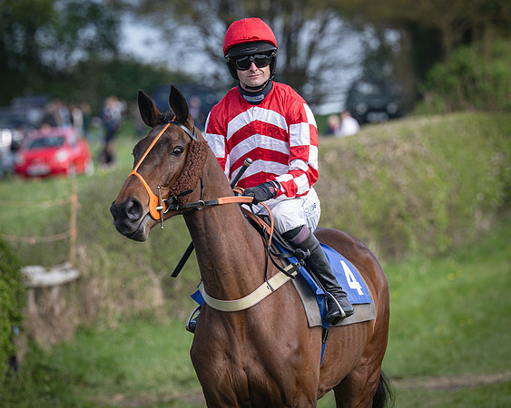 Race 5 - The 5G Restricted Race (5 of 56)