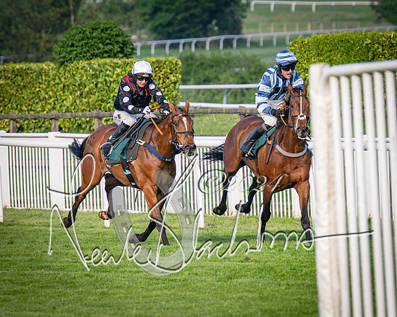 Race 4 - The Jonathan Neesom memorial open Hunter’s steeplechase 3m2f 70y (93 of 167)