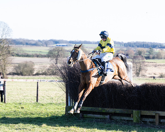 Race 5 - Maiden (101 of 123)