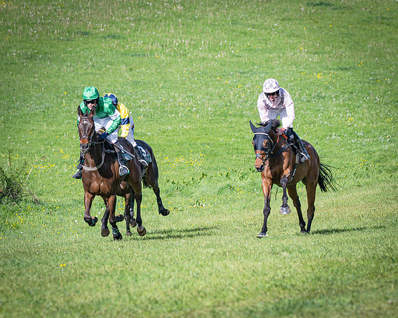 Race 6 - The sir James Shuckburgh Restricted race (28 of 85)