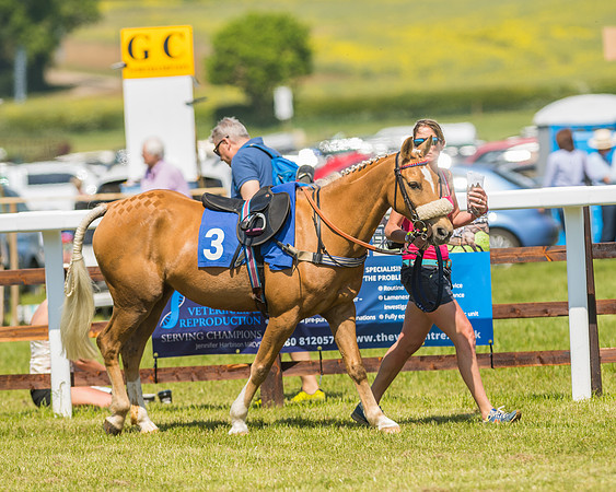 Edgcote Races