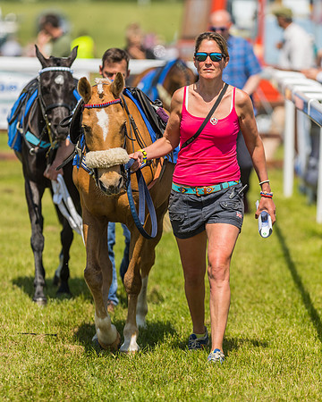 Edgcote Races