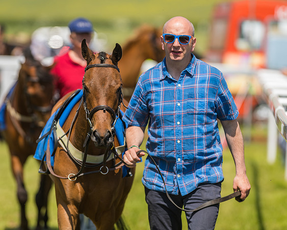 Edgcote Races