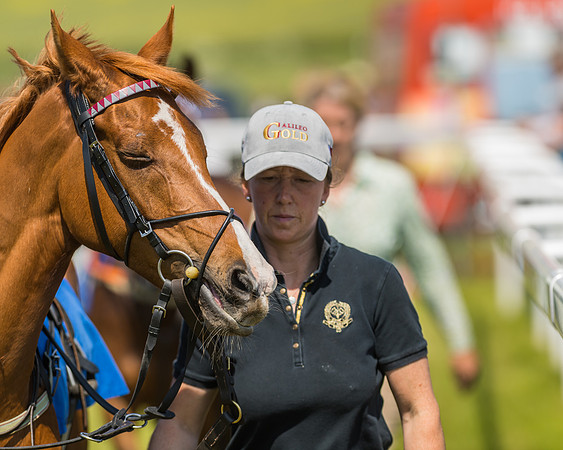 Edgcote Races