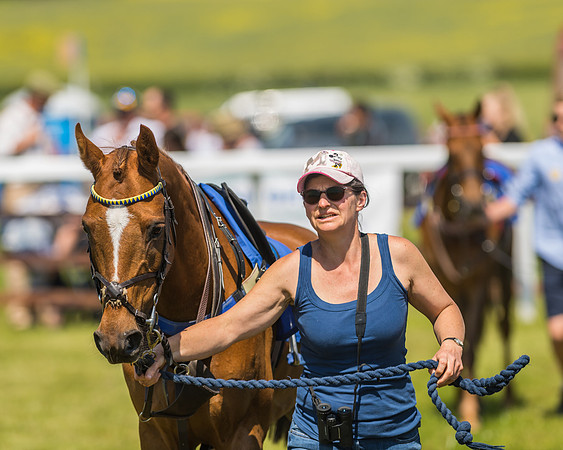 Edgcote Races