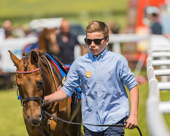 Edgcote Races