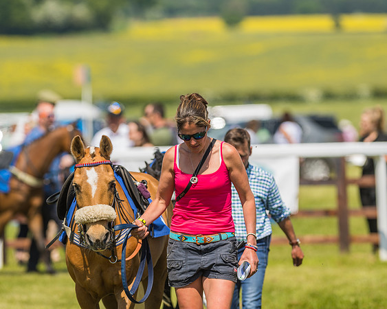 Edgcote Races