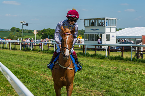 Edgcote Races