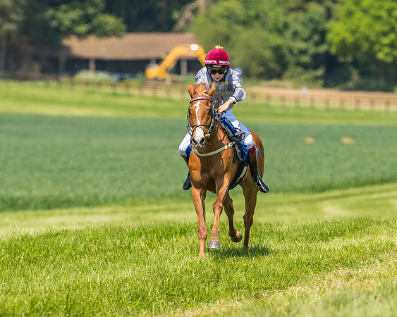 Edgcote Races