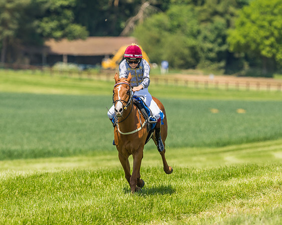 Edgcote Races