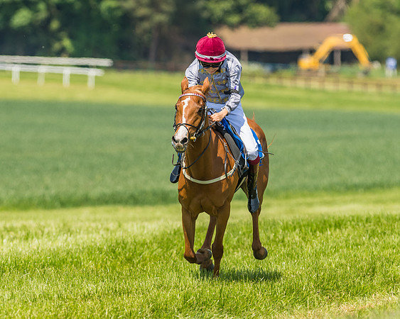 Edgcote Races