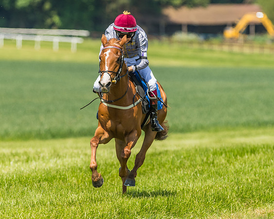Edgcote Races