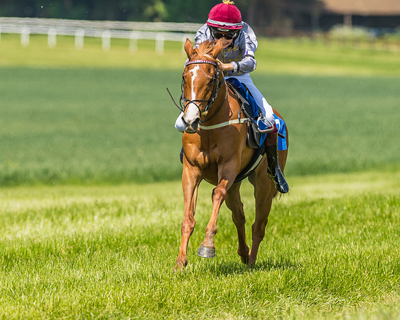 Edgcote Races