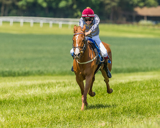 Edgcote Races
