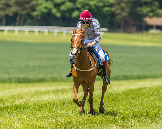 Edgcote Races