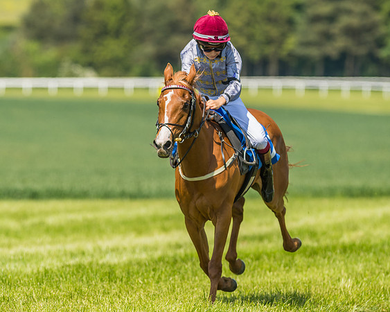 Edgcote Races