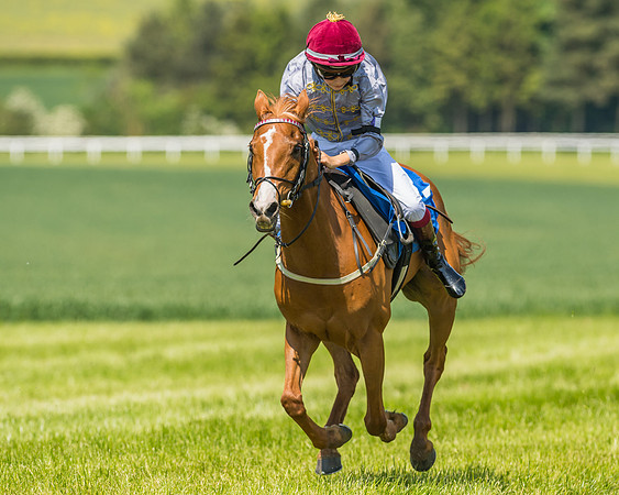 Edgcote Races