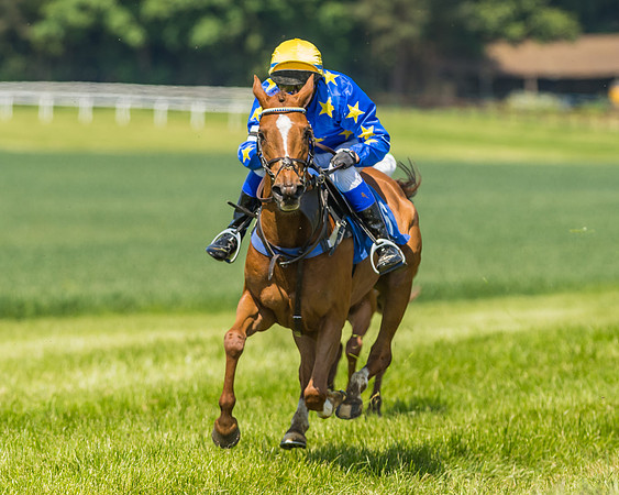Edgcote Races