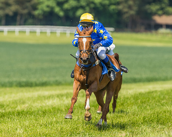 Edgcote Races