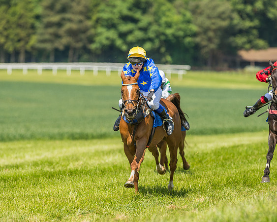 Edgcote Races