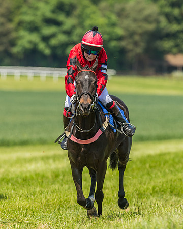 Edgcote Races