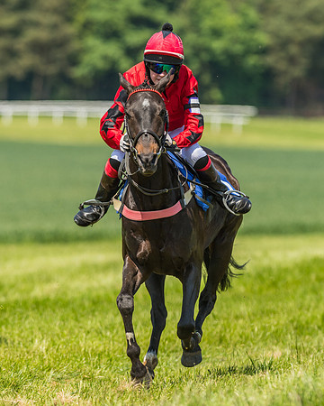 Edgcote Races