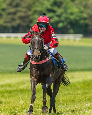 Edgcote Races