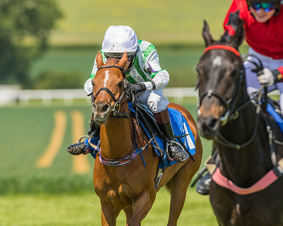 Edgcote Races