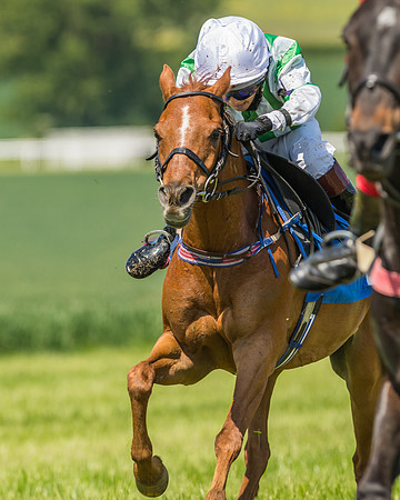 Edgcote Races