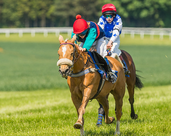 Edgcote Races