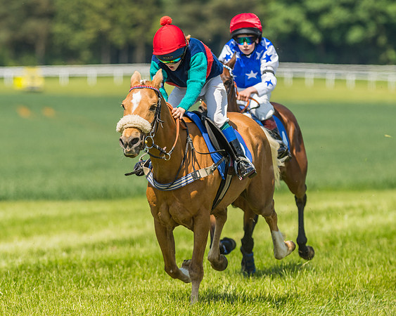 Edgcote Races