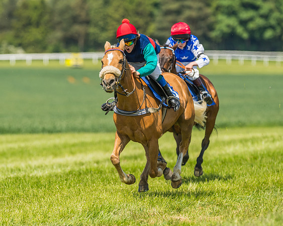 Edgcote Races