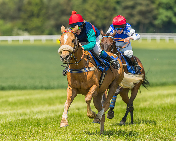 Edgcote Races