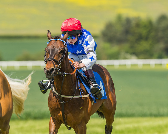 Edgcote Races