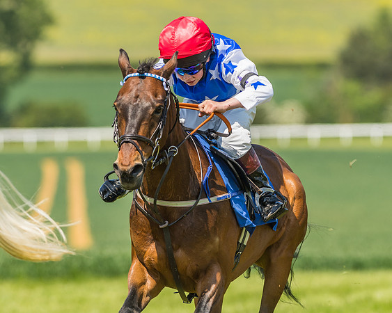 Edgcote Races