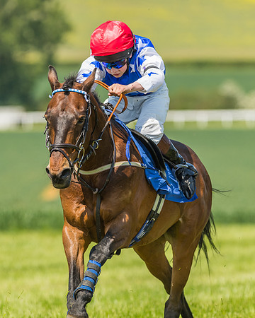 Edgcote Races