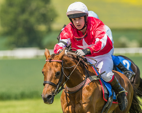 Edgcote Races