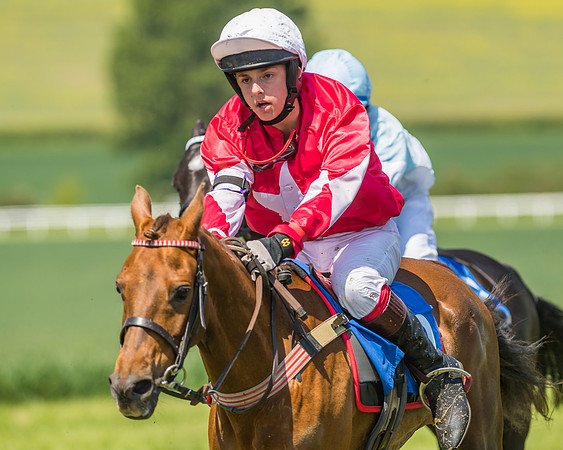Edgcote Races