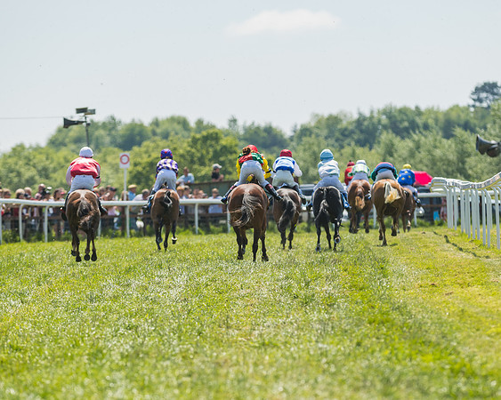 Edgcote Races