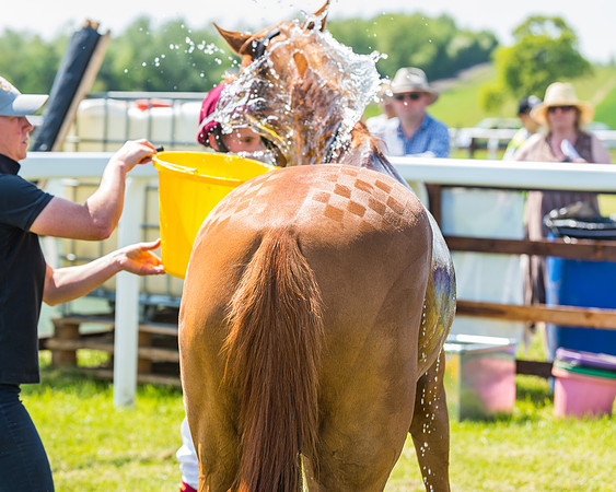 Edgcote Races