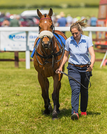 Edgcote Races