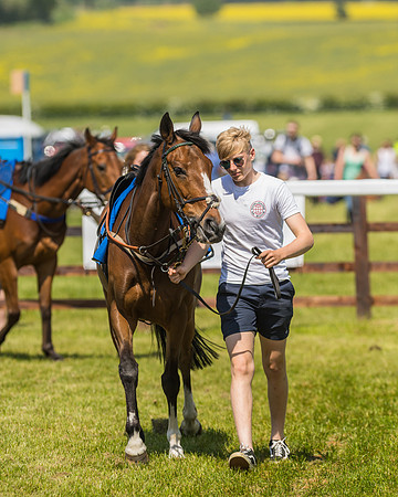 Edgcote Races