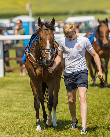 Edgcote Races