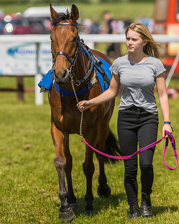 Edgcote Races