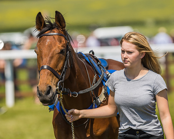 Edgcote Races
