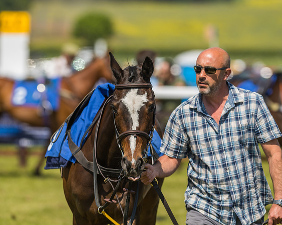 Edgcote Races
